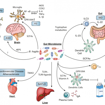 Microbiome, metabolites and host immunity (Current Opinion in ...